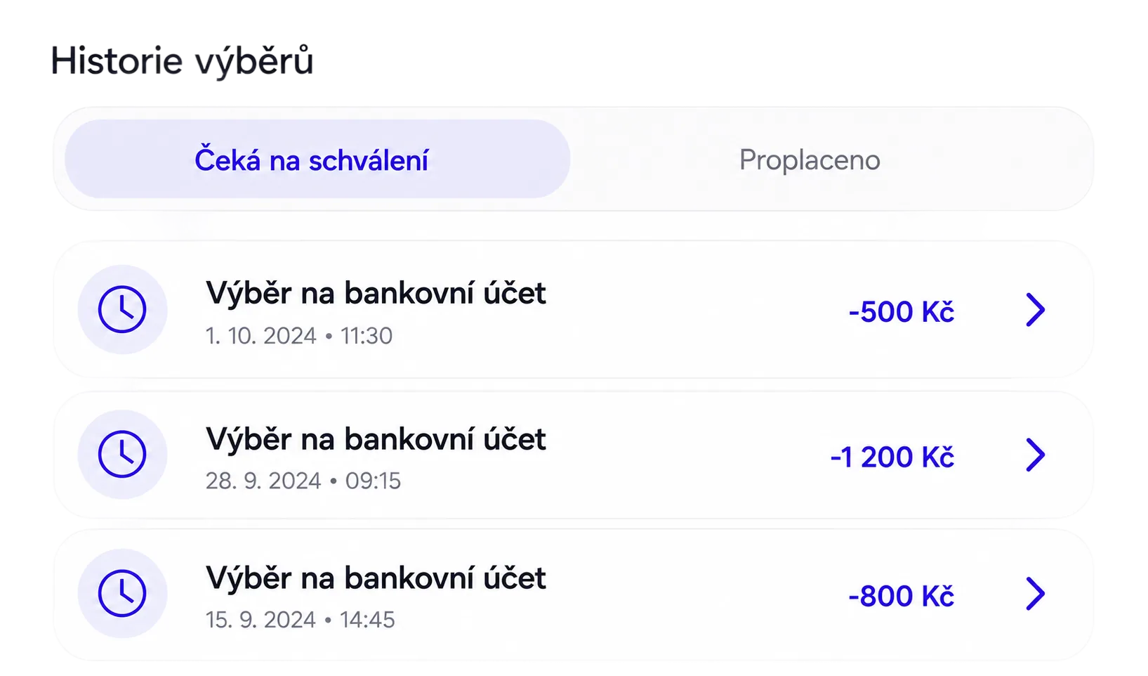 Výběr mzdy ukázka